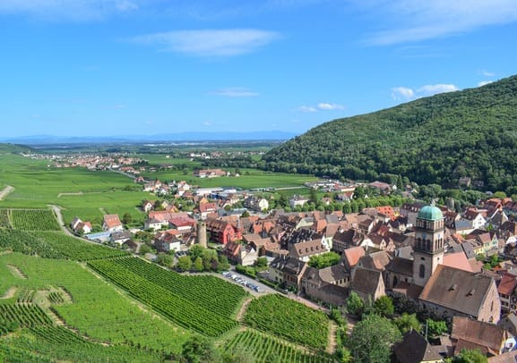 Séjour Vigneron en Alsace